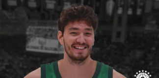 cedi osman